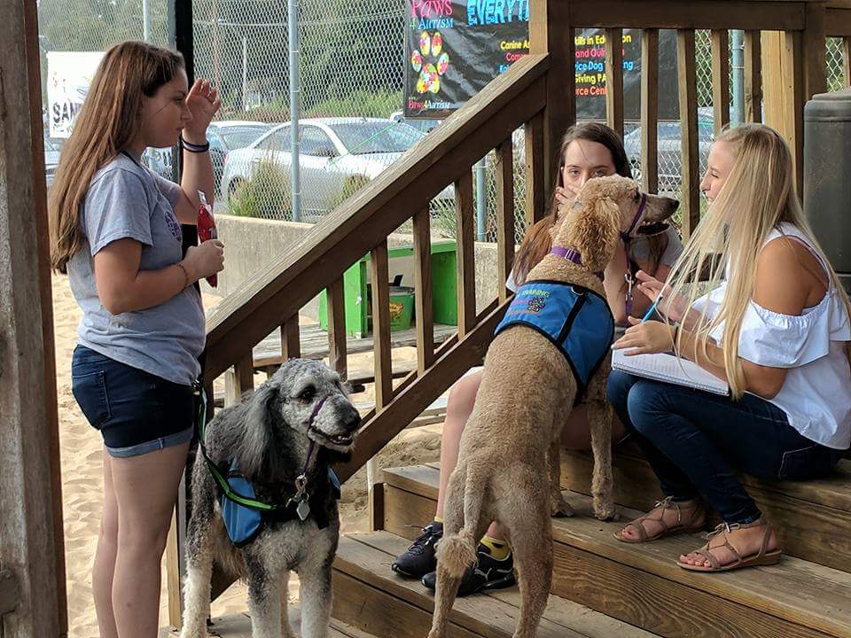 Donate to Paws 4 Autism Programs - Paws 4 Autism